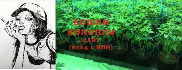 твердый Верея
