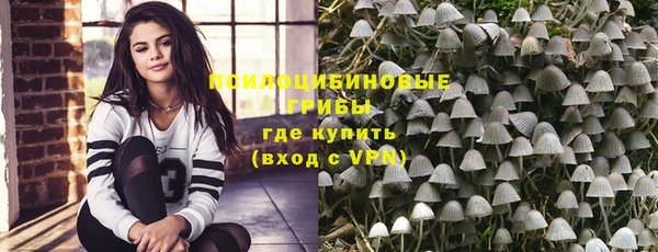 МДПВ Верхний Тагил