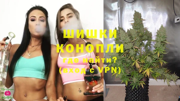 МДПВ Верхний Тагил