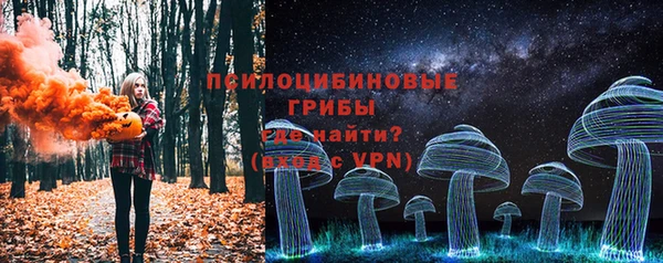 МДПВ Верхний Тагил